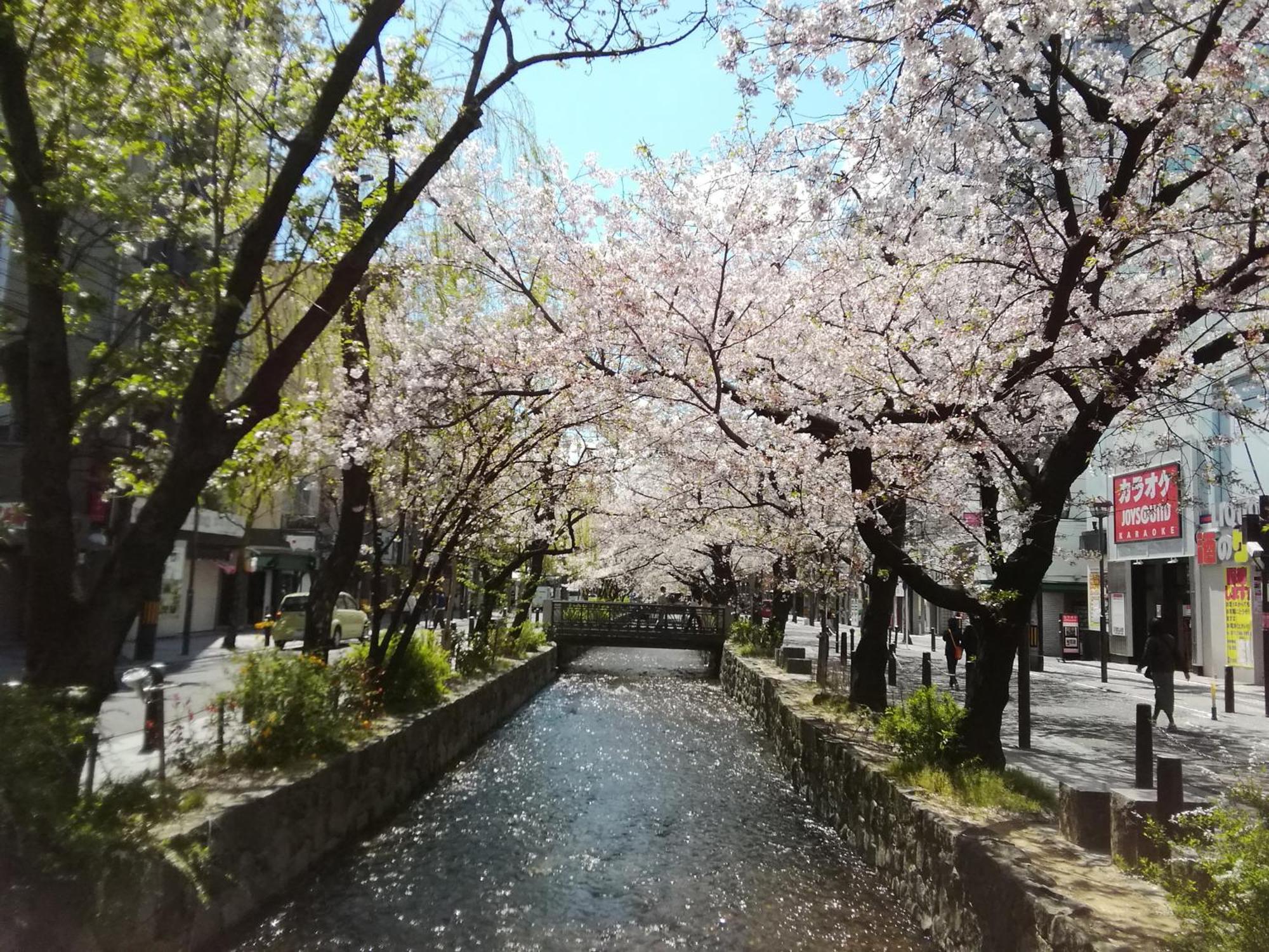 京の宿 西大路 Familie Kyōto Esterno foto
